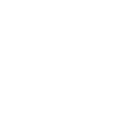 Dolly 37